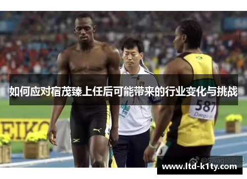 如何应对宿茂臻上任后可能带来的行业变化与挑战