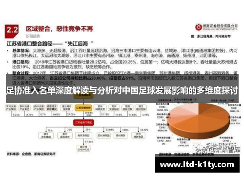 足协准入名单深度解读与分析对中国足球发展影响的多维度探讨