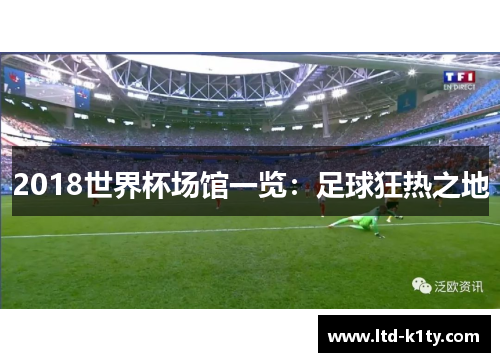 2018世界杯场馆一览：足球狂热之地